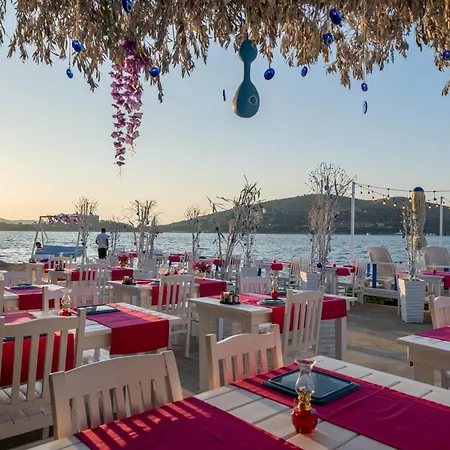 Hotel Akyali Butık Bodrum *